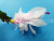 Шлюмбергера Thor Wild Cactus White and Pink Шлюмбергера Thor Wild Cactus White and Pink