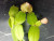 Шлюмбергера  Cristen Aurea variegata