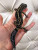 Эублефар молодой самец Mack Snow Cross (Lavender+Bandit) phet TA